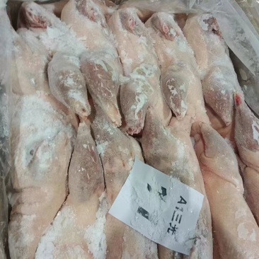 一级三光鹅