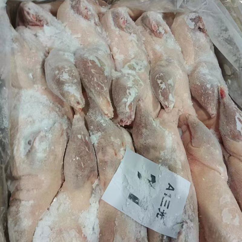 一级三光鹅