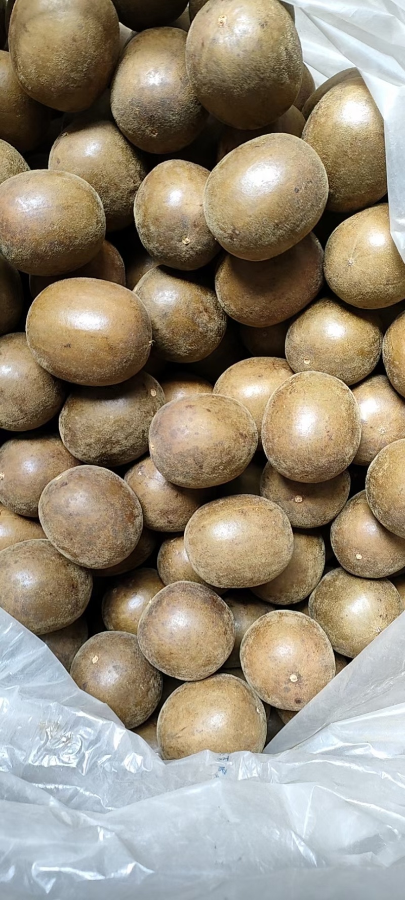 罗汉果产地直发规格齐全大量供应电商货市场货