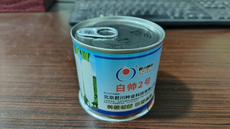 君川白帅2号耐寒板叶白萝卜种子