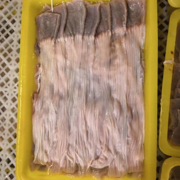 麻鸭食带