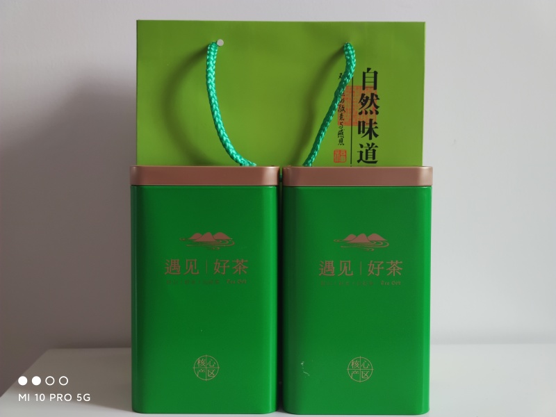 信阳毛尖