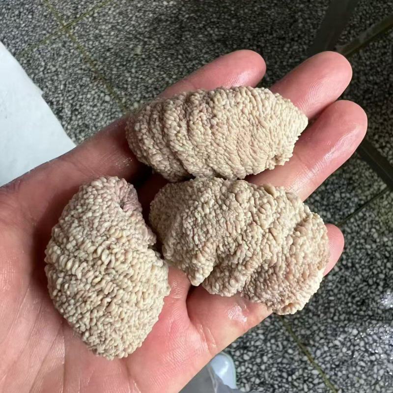 【卤味】熟鸡蛋包头