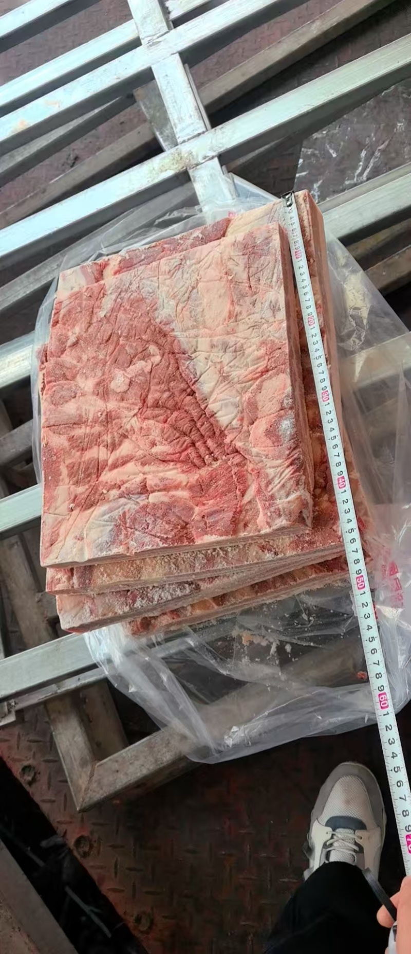 母猪修边中方