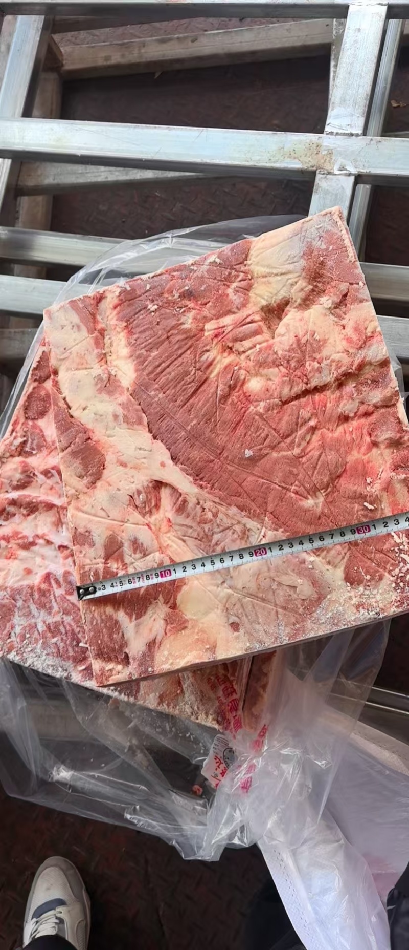 母猪修边中方