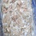 羊副产品羊小肚羊散带百叶红肠板冻清真食品