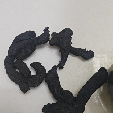 木柴蒸制九蒸九晒黄精