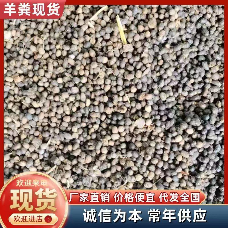 大包纯羊粪蛋蛋湖州发货。整车买的。