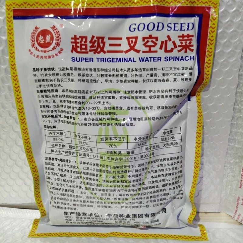 三叉空心菜种子叶片大梗粗淡青色旱地水地皆可种植基地用