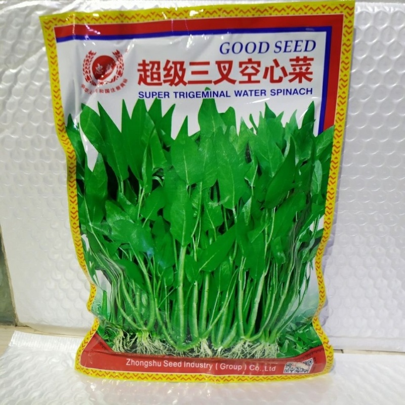 三叉空心菜种子叶片大梗粗淡青色旱地水地皆可种植基地用