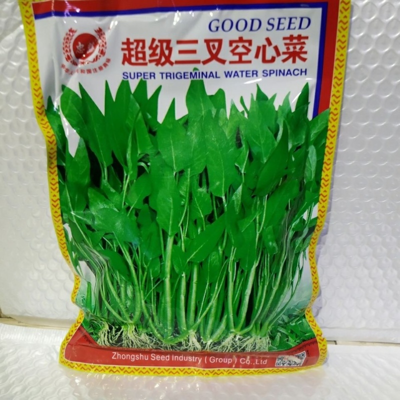 三叉空心菜种子叶片大梗粗淡青色旱地水地皆可种植基地用