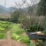 江西上饶铅山深山土蜂蜜农家自产百花蜜原蜜