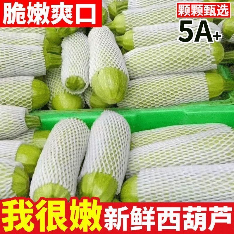 新鲜西葫芦产地直供现摘脆嫩量大价优基地批发