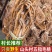 大山里的五指毛桃