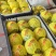 山东精品甜瓜花美人花蕾甜瓜品质保证实力代发全国