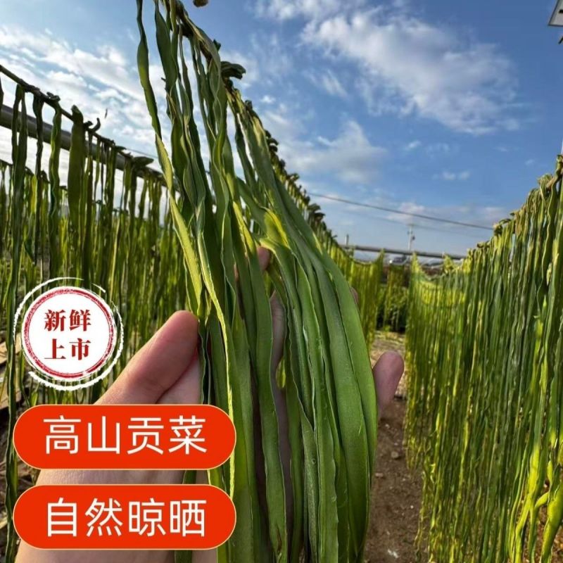 云南特级贡菜干