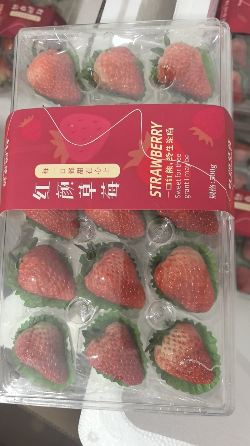 丹东草莓产地直供一手货源品质保障全国发货