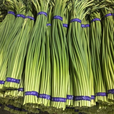蒜苔金乡红帽蒜苔万吨冷库出租代存,代收代发代存