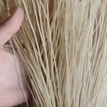 红薯粉条