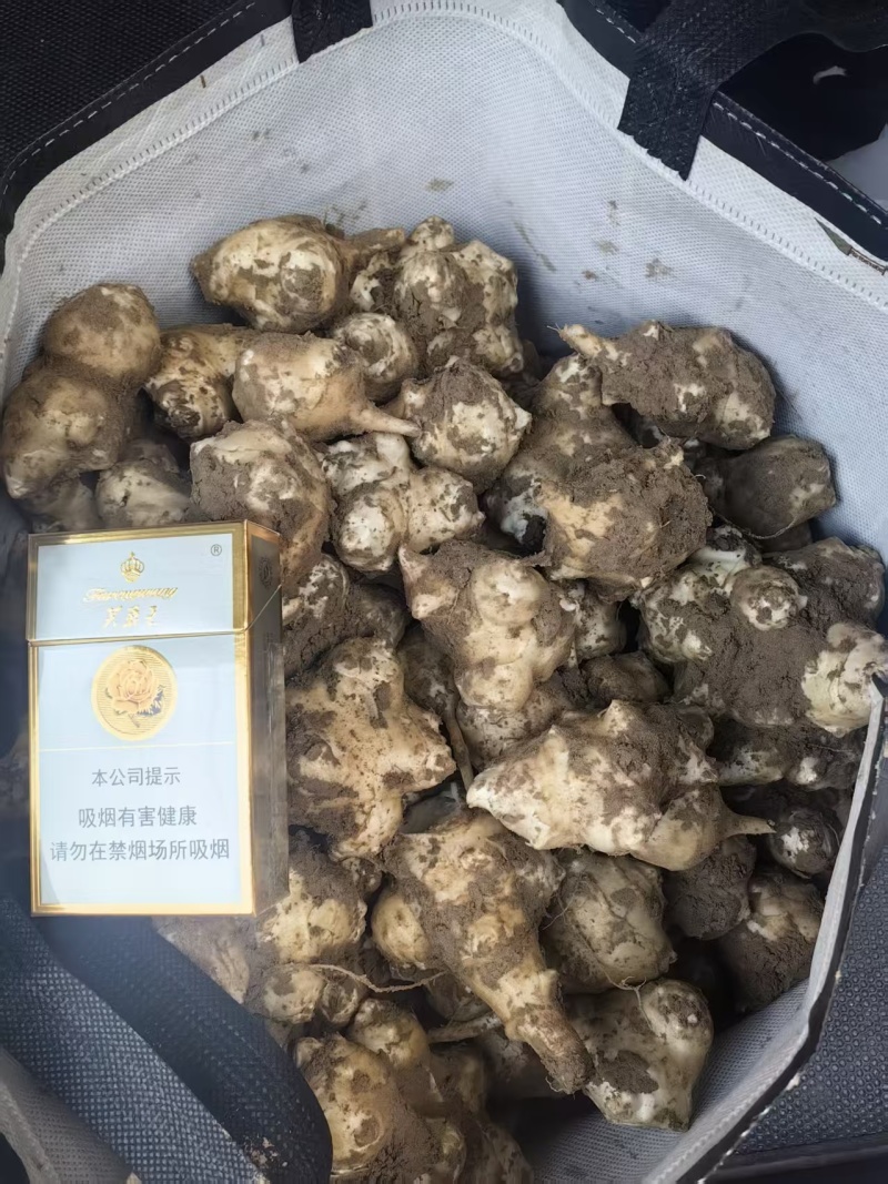洋姜