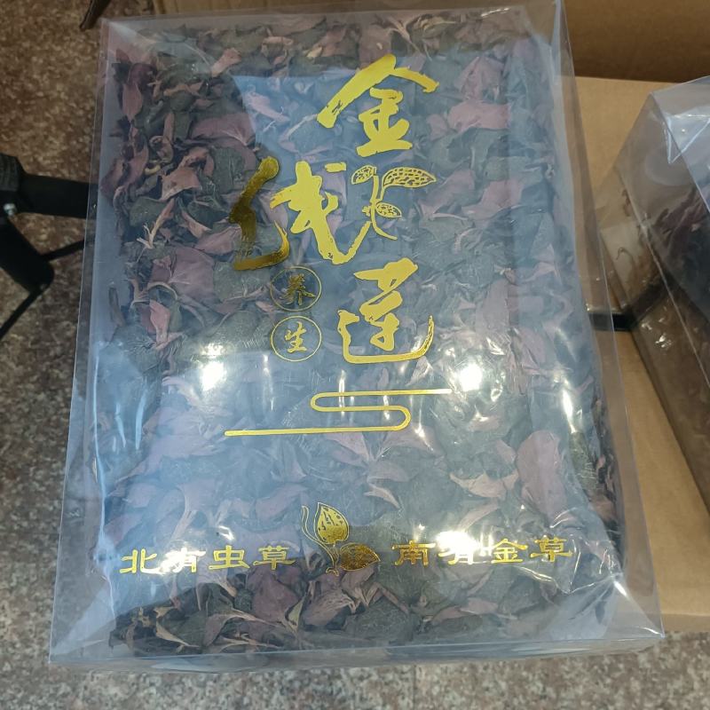 金线莲