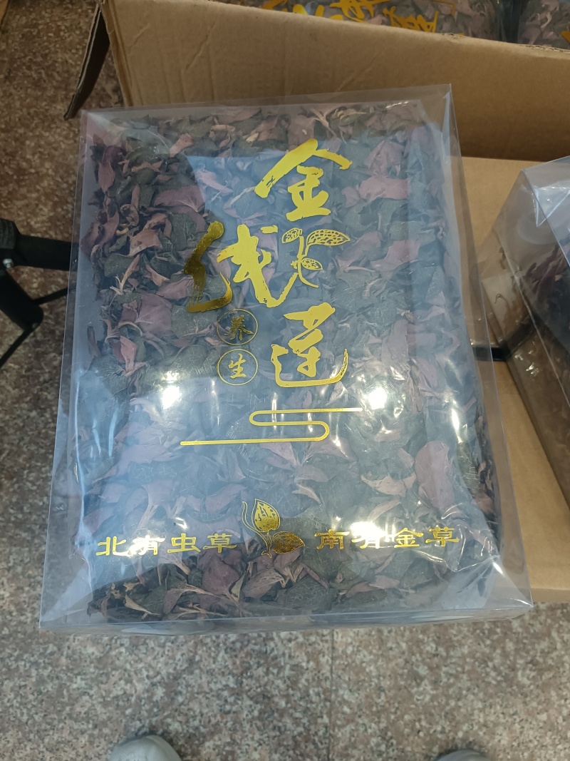 金线莲
