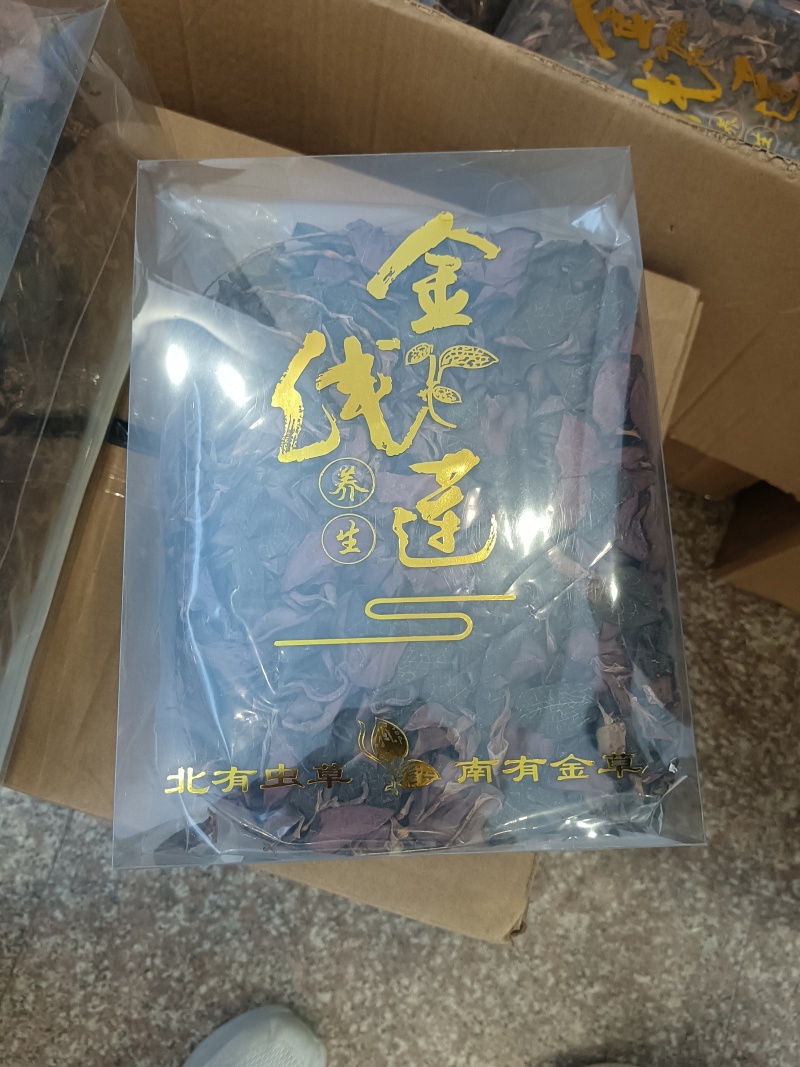 金线莲