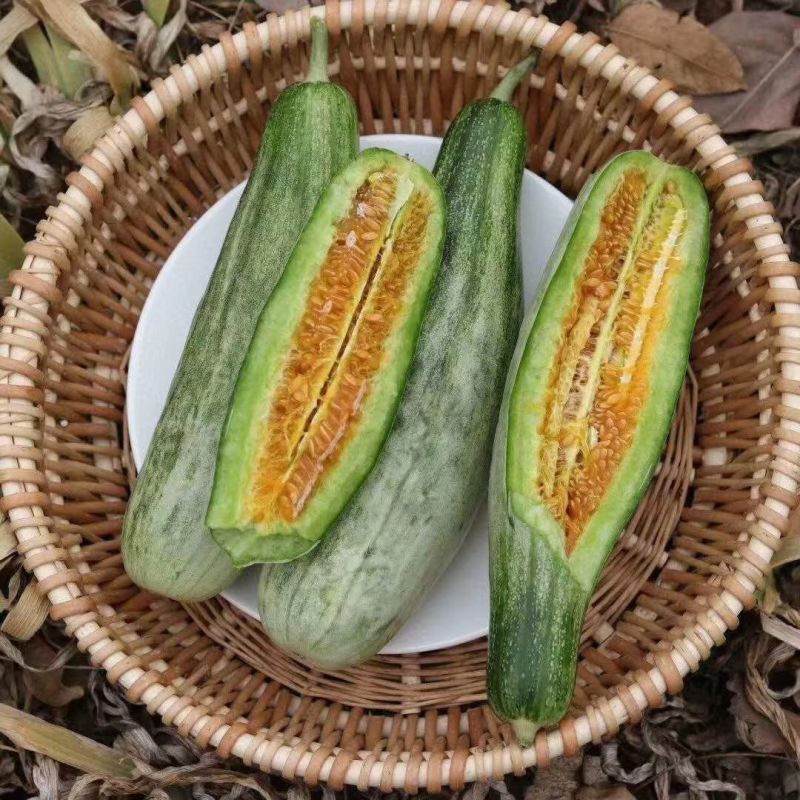 山东羊角蜜精品头茬对接各大电商平台一件