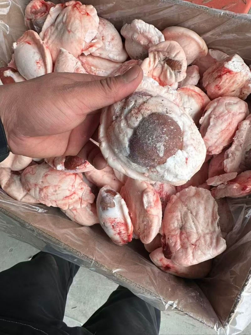 羊宝荷包蛋原油羊腰