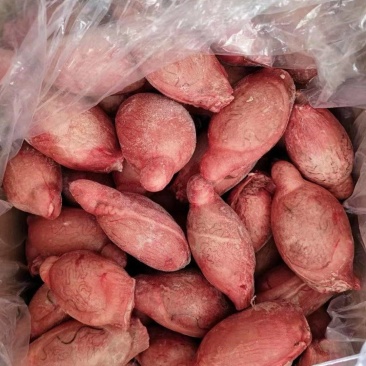 羊宝荷包蛋原油羊腰