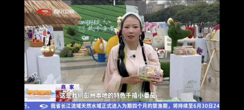 【盼达农业】超甜多彩千禧圣女果超200项农残合格