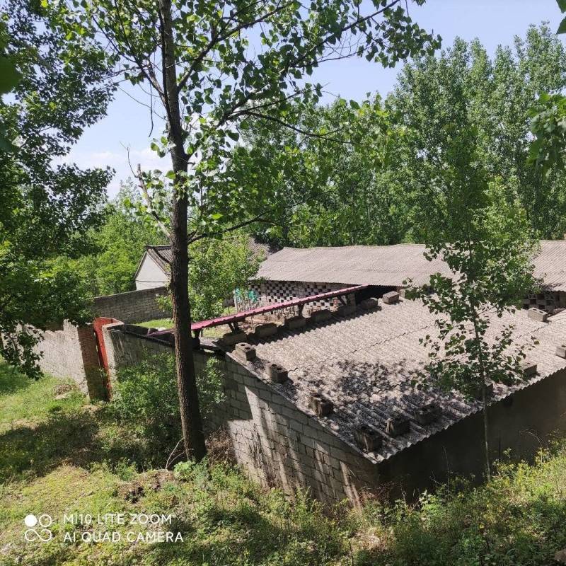 场地招租适合养殖种植