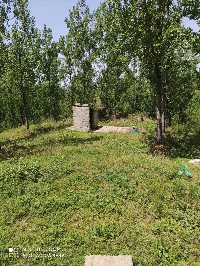 场地招租适合养殖种植