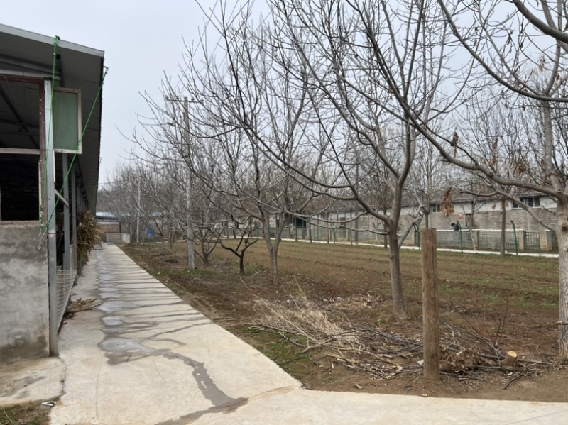 养殖场合租