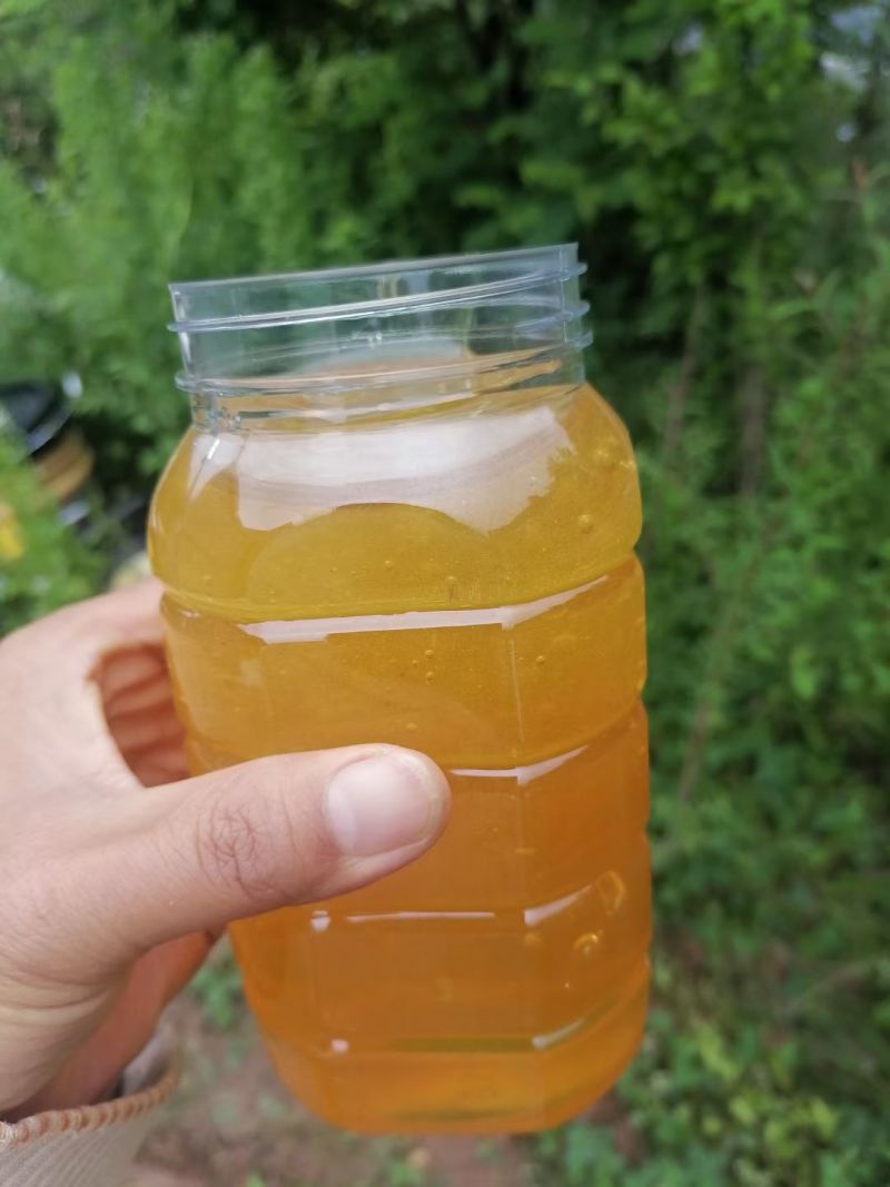 陕西秦岭山土蜂蜜波美度41