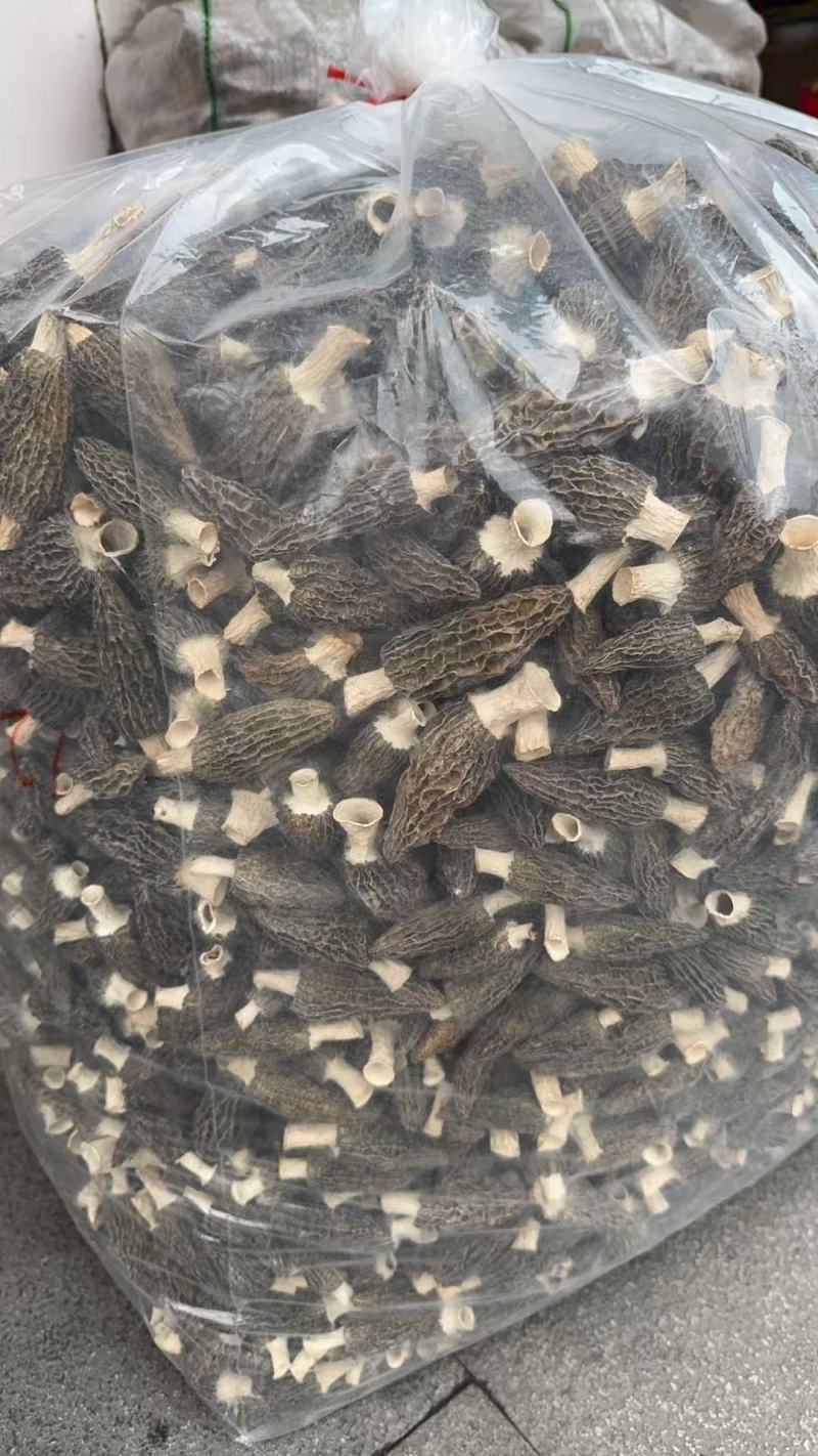 高山羊肚菌，质量保障，货美价优，欢迎咨询