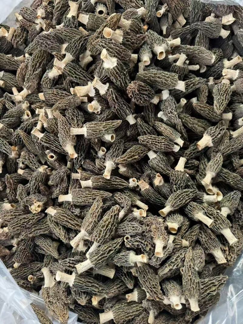 高山羊肚菌，质量保障，货美价优，欢迎咨询