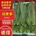 油麦菜/产区直发/货源充足/欢迎选购/大量有货