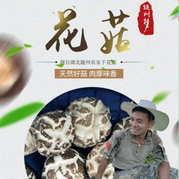 花花菌子花菇随州深山农家种植大花菇干货批发