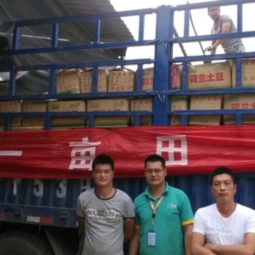 丰县二茬韭菜根，电商**要的联系价格便宜，便宜便宜