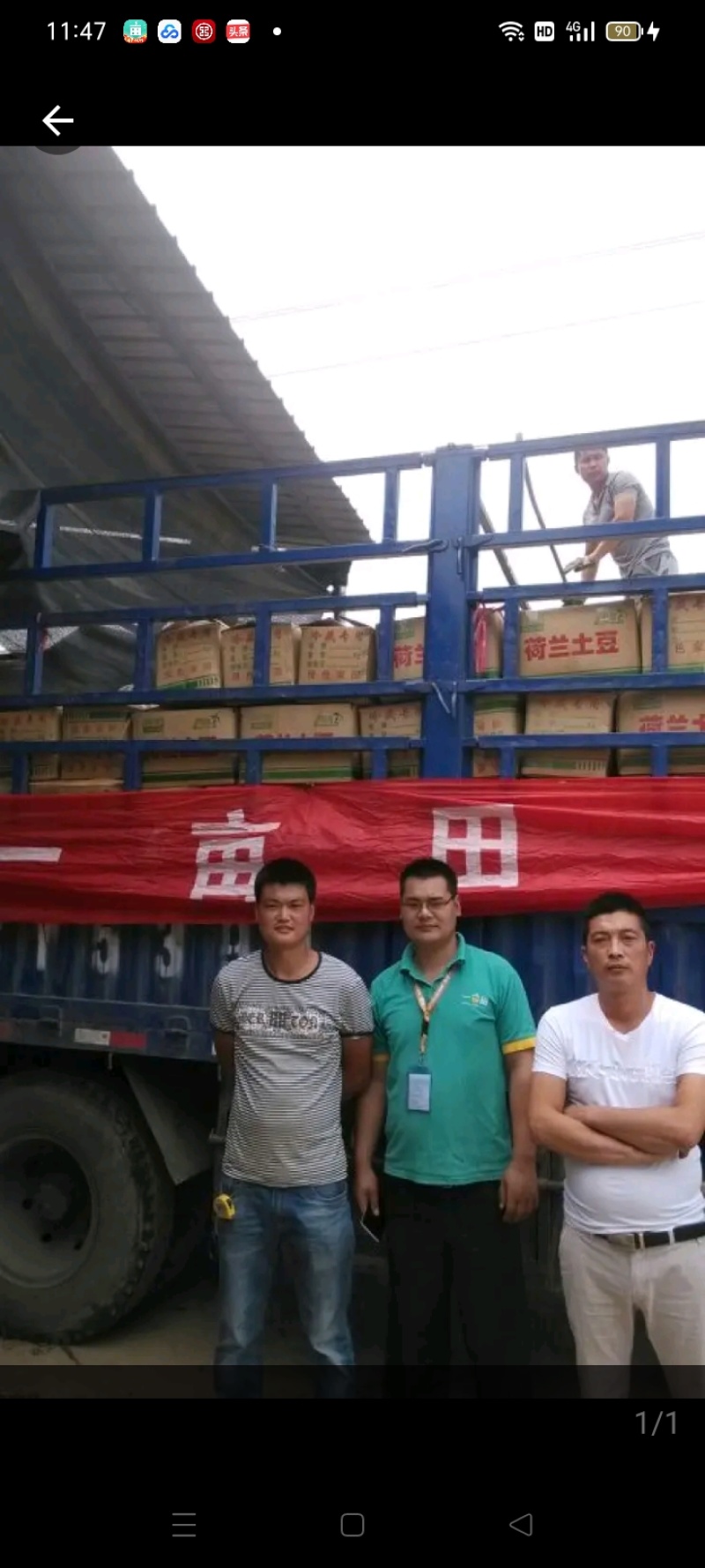 丰县二茬韭菜根，电商**要的联系价格便宜，便宜便宜