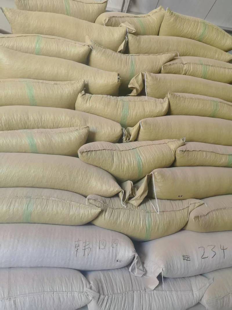 精品瓜子葵花籽产地大量一手货源对接各大市场商超电商