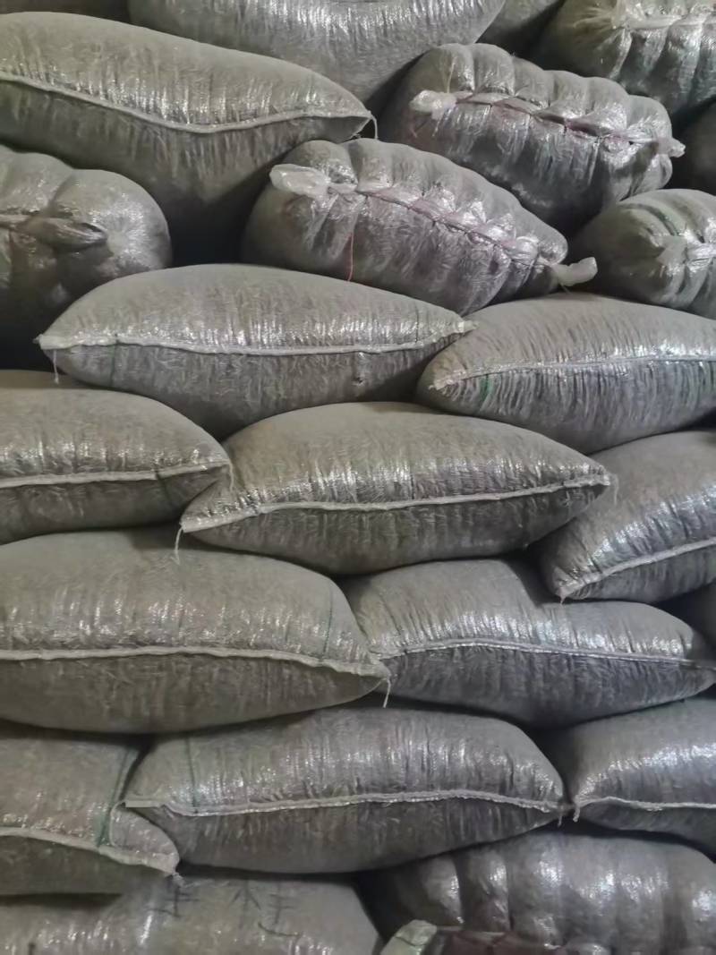 精品瓜子葵花籽产地大量一手货源对接各大市场商超电商