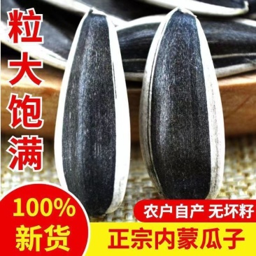 精品瓜子葵花籽产地大量一手货源对接各大市场商超电商
