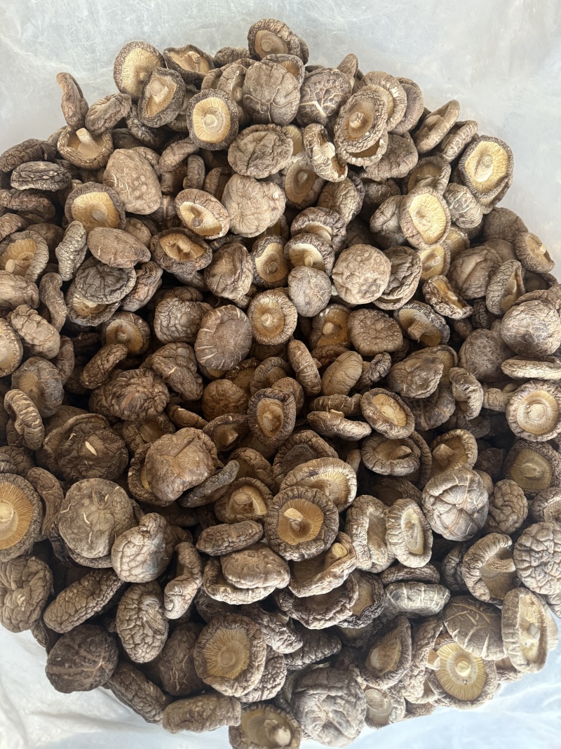花花菌子随州产地直发香菇干货肉厚无根农家菌菇新货煲汤炒菜