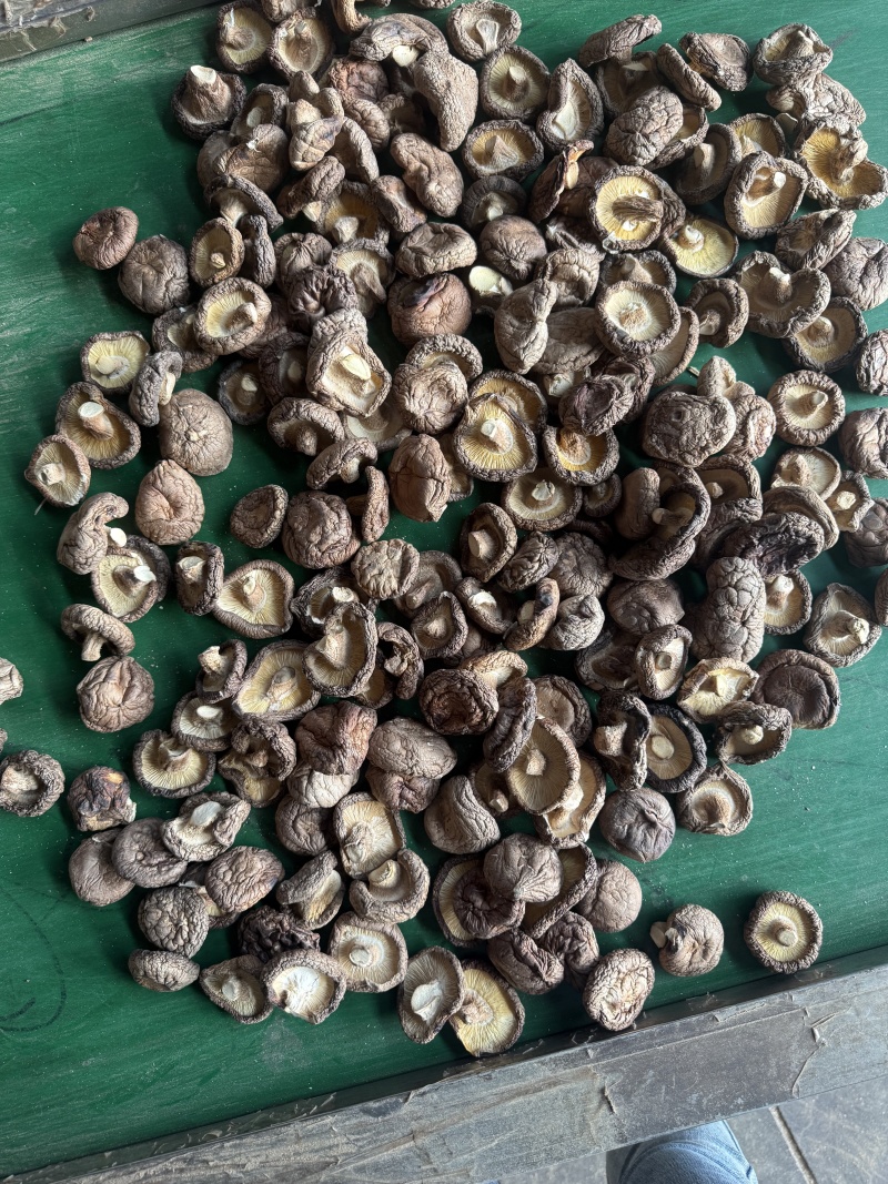 花花菌子随州产地直发香菇干货肉厚无根农家菌菇新货煲汤炒菜
