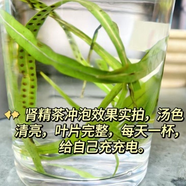 云南省保山市化石草