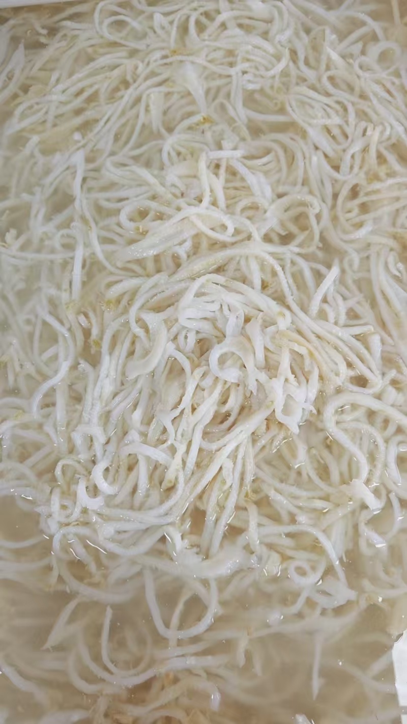 白底扳丝，量大价优，保质保量，诚信经营，欢迎各位老板咨询