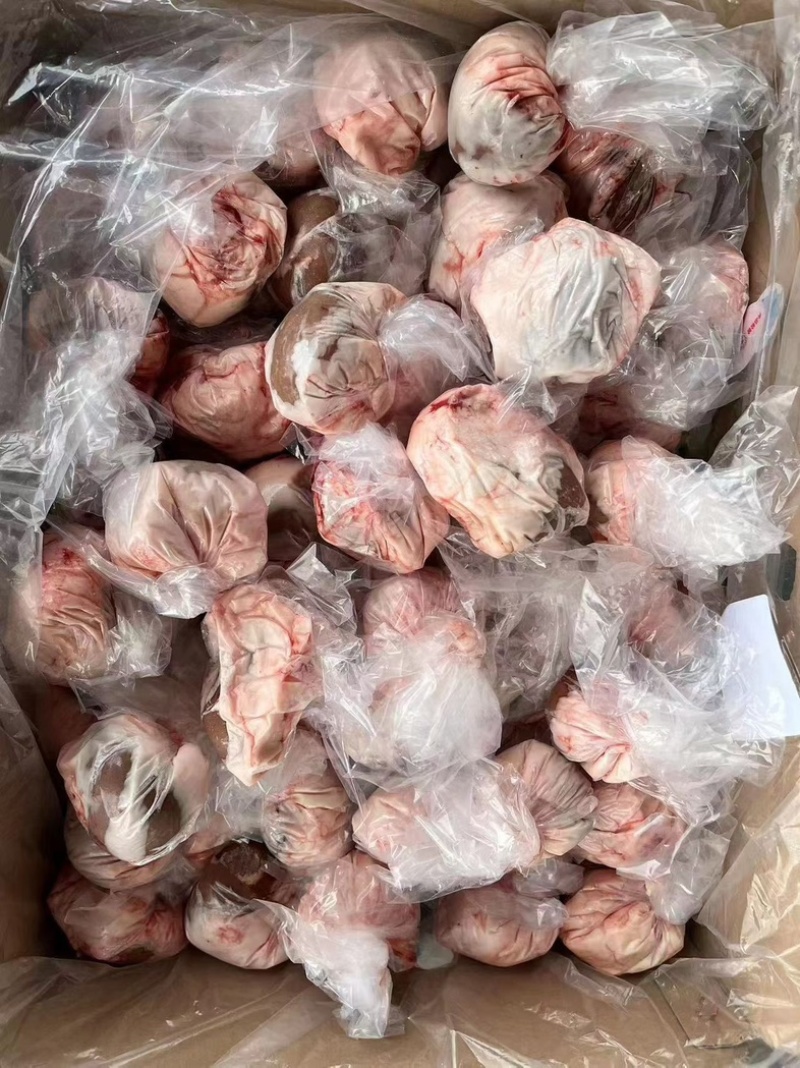 羊腰羔羊羊腰一手货源