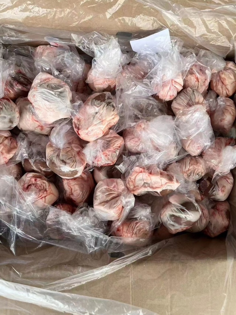 羊腰羔羊羊腰一手货源